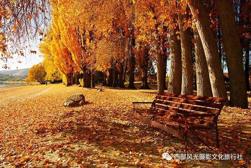 脑洞小老弟无实名认证